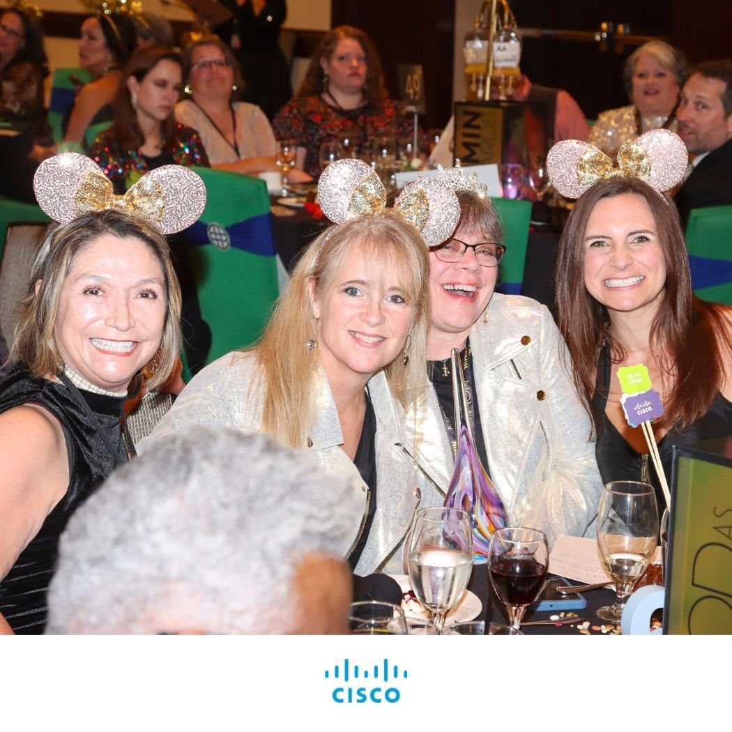 DFW CISCO SYSTEMS INC